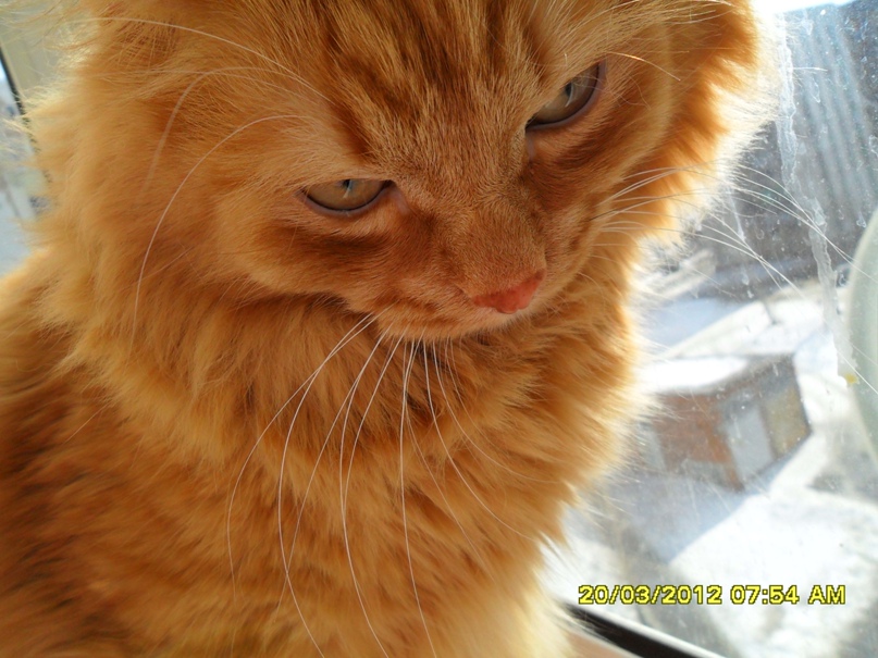 Мария Федорова | Екатеринбург