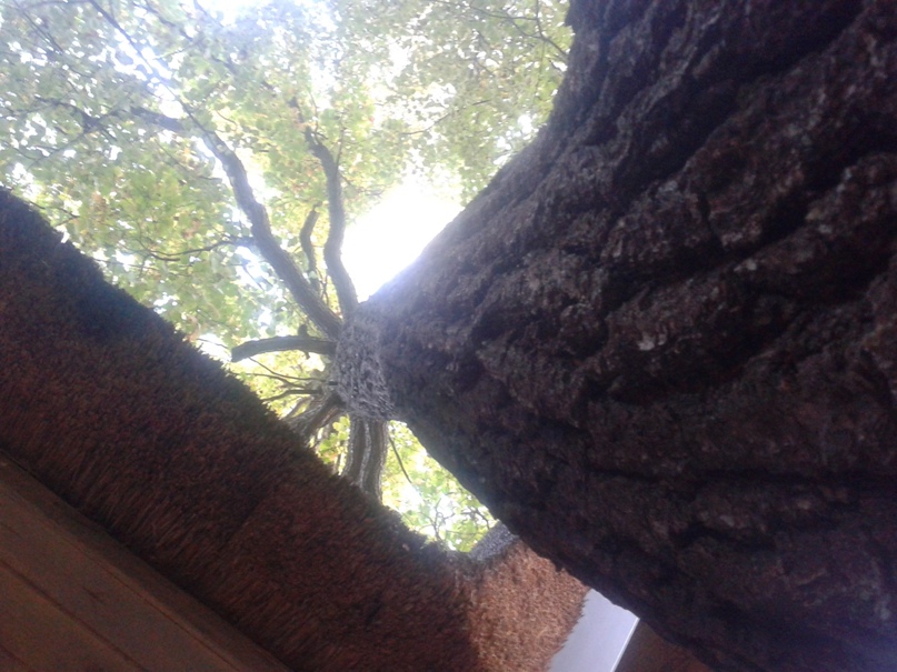 Олег Демкин | Бутово