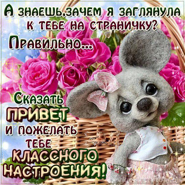 Татьяна Пименова | Санкт-Петербург