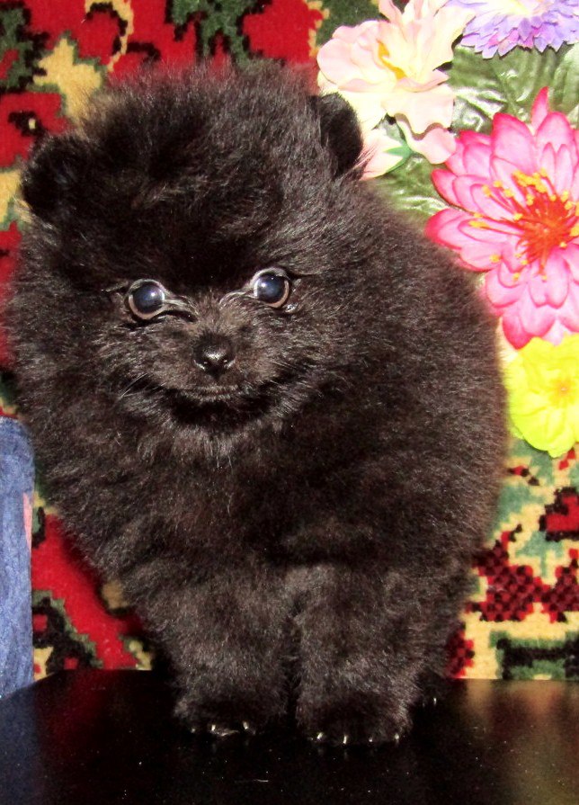 Татьяна Матвеева | Москва