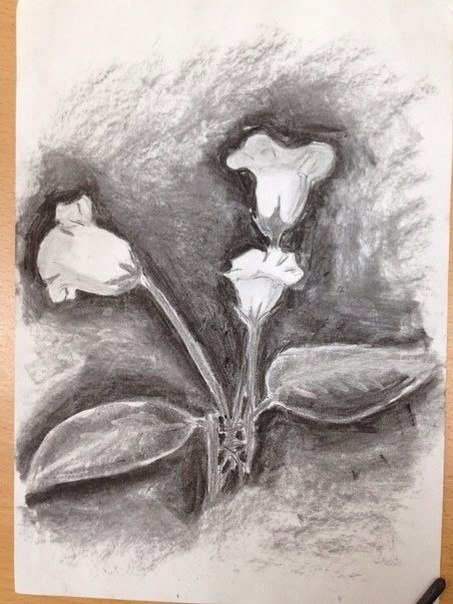 Никита Костицын | Ижевск