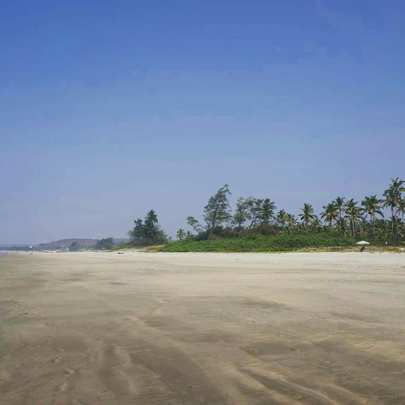 Татьяна Алейникова | Могилёв