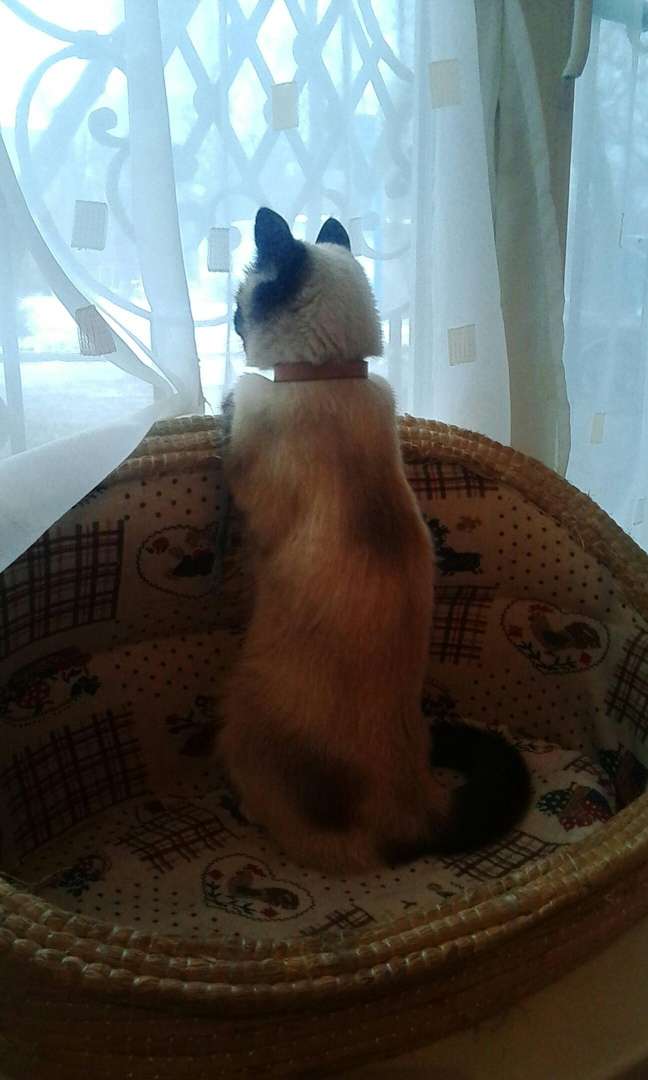 Екатерина Медведева | Челябинск