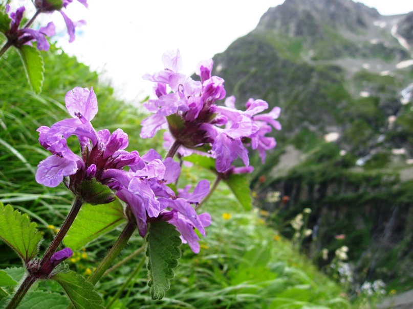 Дмитрий Радюк | Санкт-Петербург
