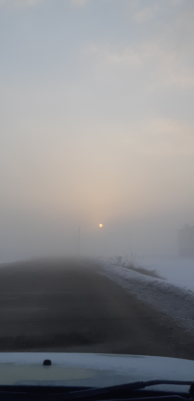 Анна Гаврилова | Шелангер