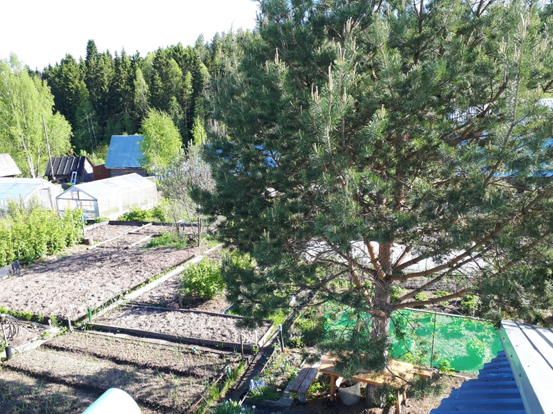 Екатерина Шутова | Нижний Новгород