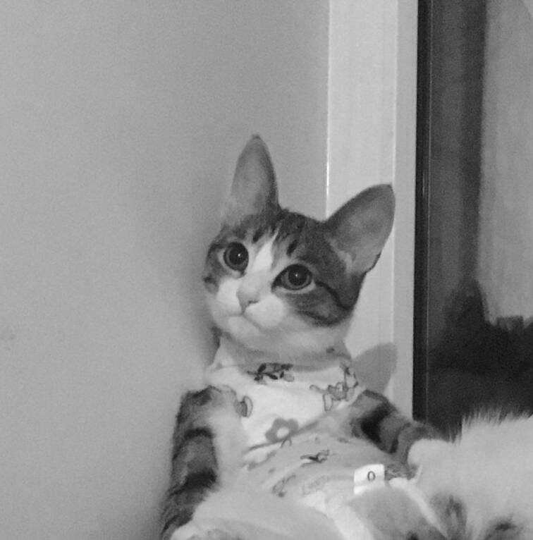 Виктория Зверева | Пермь