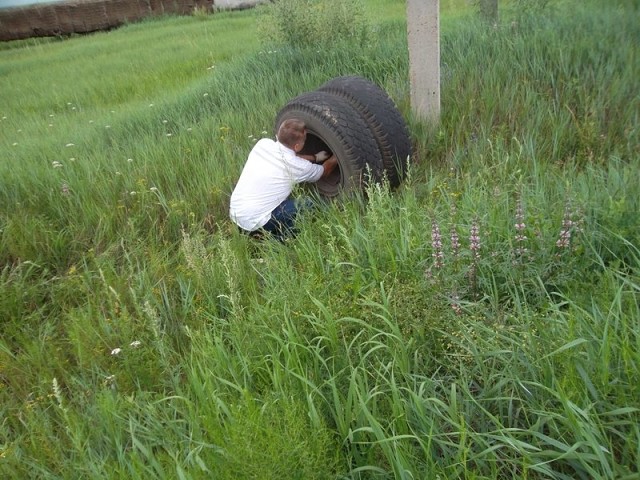 Колесо пассажирского автобуса во время рейса отлетело в проезжающий по встречной полосе автомобиль марки УАЗ в районе Краснокаменска, сообщил 1 августа ИА «Чита Это картинка