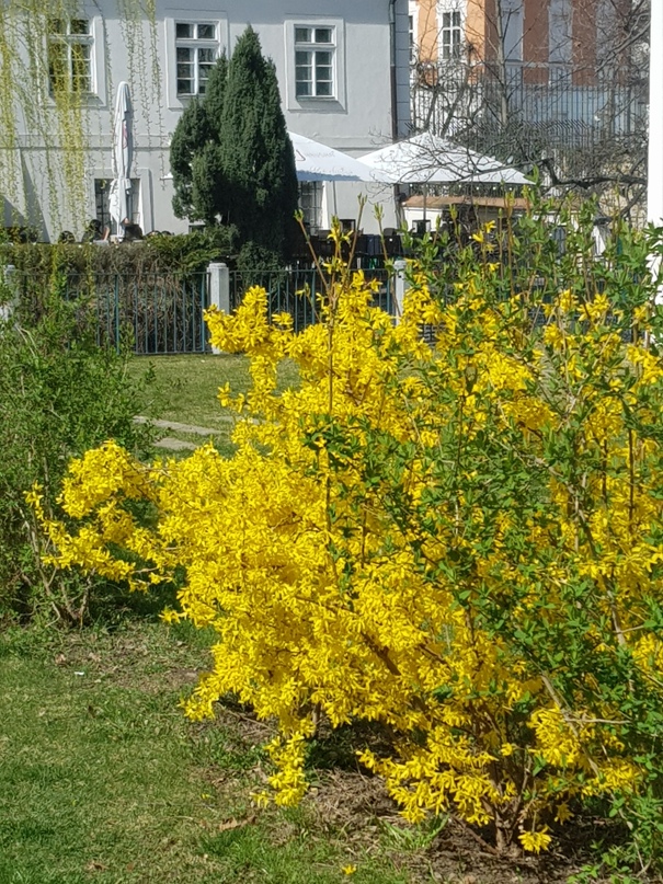 Наталья Костина | Петрозаводск