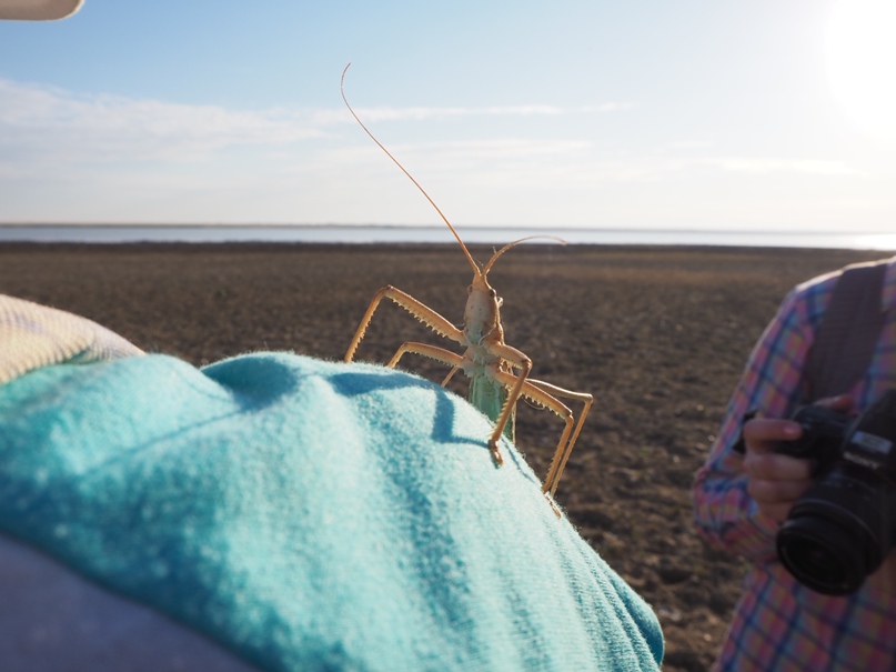 Маша Ковалёва | Москва