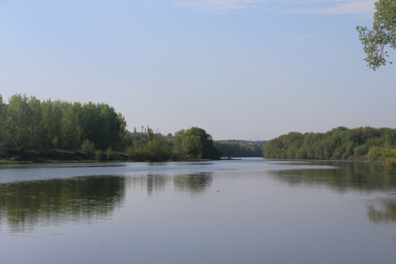 Екатерина Евсеева Кассандра | Петрозаводск