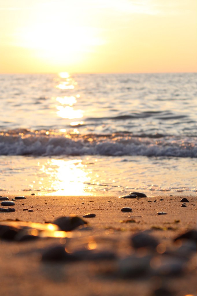 Максим Михалыч <СakмиС> | Москва