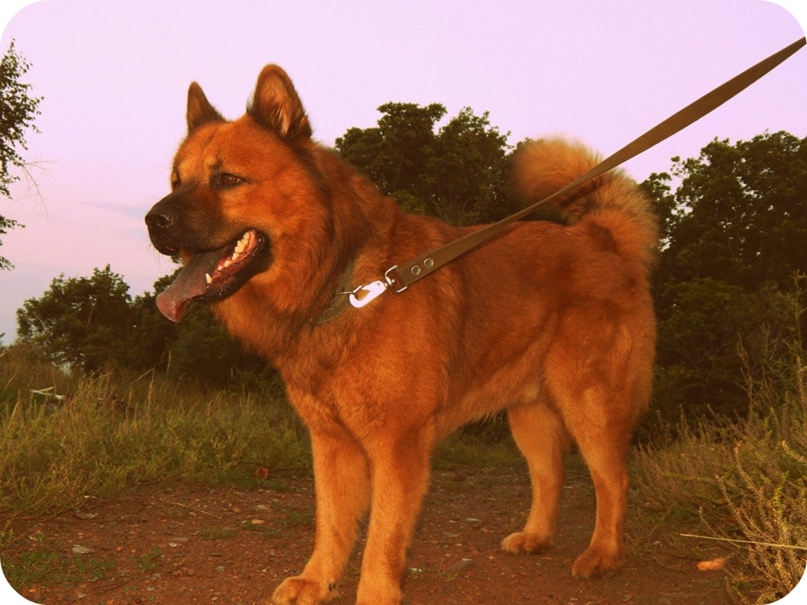 Егор Степанов | Кумертау