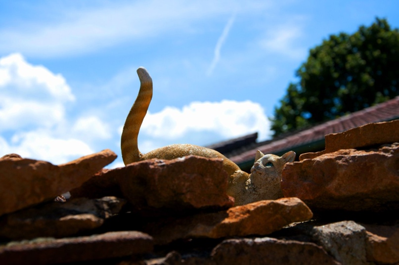 Ксения Красникова | Минск