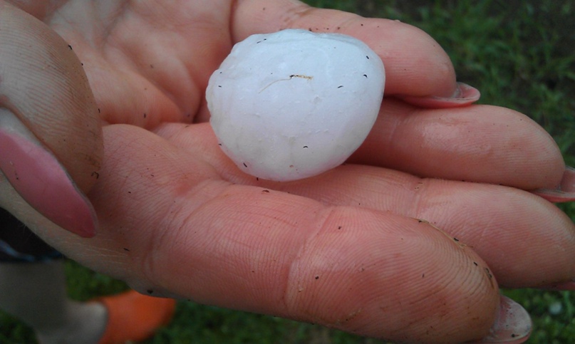 Владимир Рыжов | Санкт-Петербург