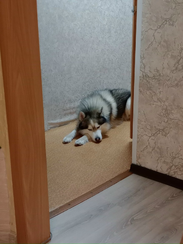 Константин Щербаков |