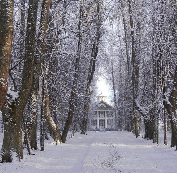 Зима в пушкинских горах - 81 фото