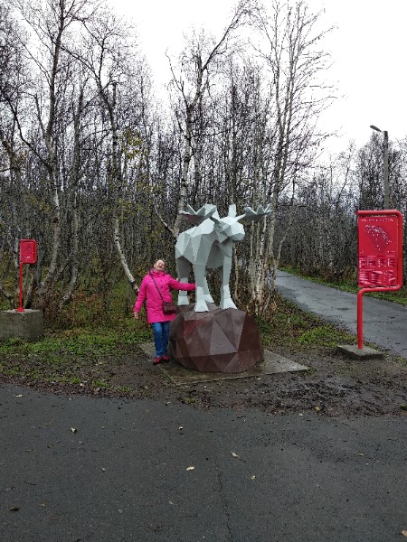 Ирина Сизова | Петрозаводск