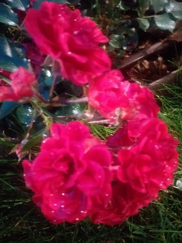 Ксения Николаенко | Москва