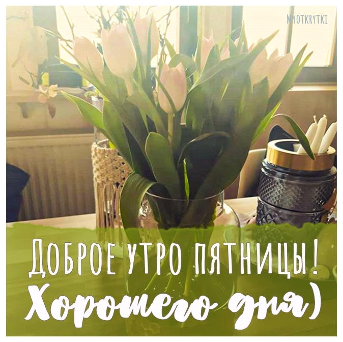 Доброе весеннее утро пятницы пожелания: найдено 39 изображений