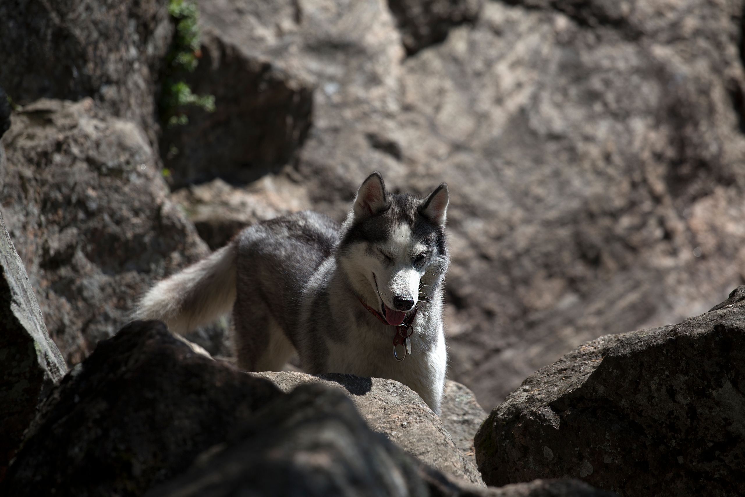Немного лета с Треугольного Немного лета с Треугольного