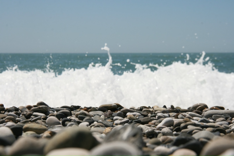 Ксения Ольхова | Санкт-Петербург