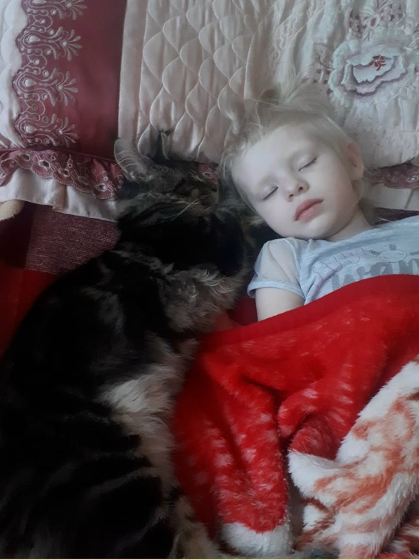 Александр Терентьев | Комсомольский