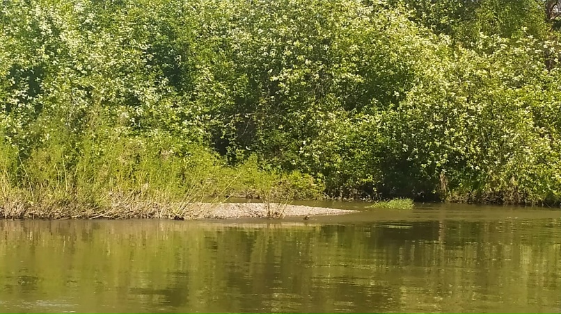 Сергей Пухов | Екатеринбург