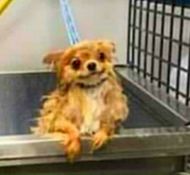 Екатерина Гильмиярова | Уфа