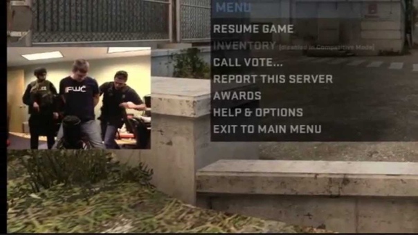 The Creatures Get Swatted, Kootra Stream, The Creature Office, Creature Stream