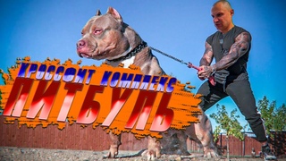 Выматывающий Кроссфит Комплекс - ПИТБУЛЬ