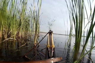 -7- Неудачное закрытие сезона ПО. Щука-Сука / Closing of the season spearfishing
