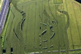 2012 crop circles - Flat-d’Étain, nr Chécy, Boigny, France 11 June 2012
