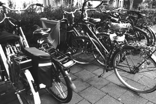 NTFO Diary from ADE 2014