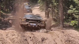 Jungle Challenge-Dodge RAM Pickup