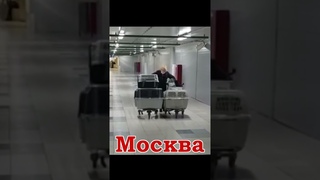 Щенок бегал за прохожими, прося помощи, потом лёг, чтобы заснуть, навсегда short #shorts