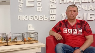 ПЕРЕДАЧА НА Т.В. ПРО МОЮ ПТИЦУ. .