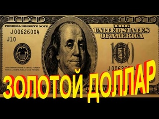 «Золотой доллар» 3500 долларов в месяц на американском сервисе -  2022 - 1