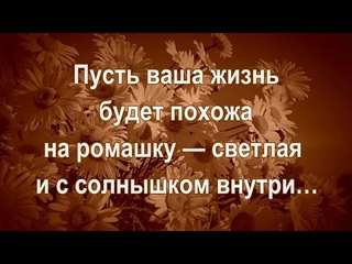 Пусть ваша жизнь будет похожа на ромашку  светлая и с солнышком внутри