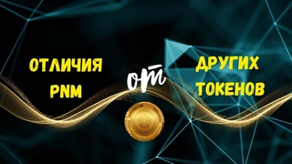 Отличия токенов Phenomenal Club от множества других токенов