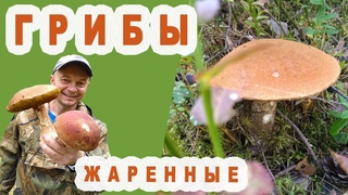 Жареные Грибы   Подосиновики   Очень вкусно