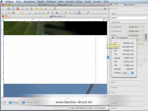 Scribus Abizeitung 06 Positionen und