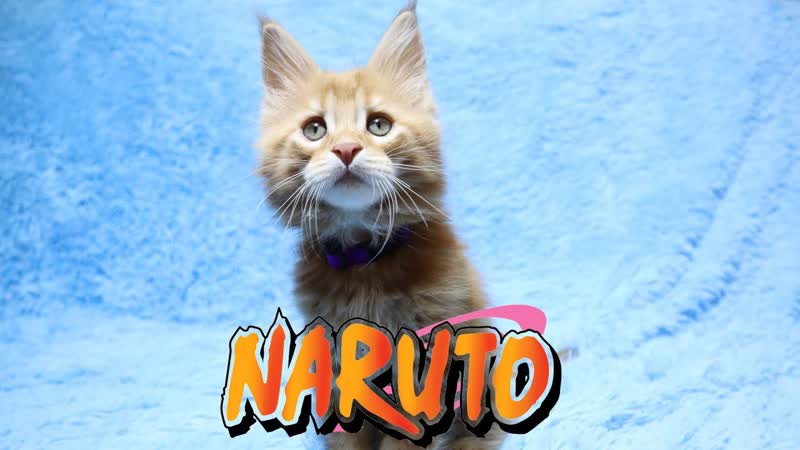 Naruto Dark