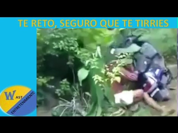 TE RETO A NO REITE LO MAS GRACIOSO QUE VERÀ