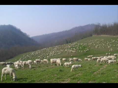 La cupa cupa (italian folk