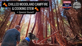 Chilled Woodland Campfire & Cooking Stew - With Canine Guest