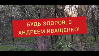 Оздоровление всего организма! МОЙ ОПЫТ!