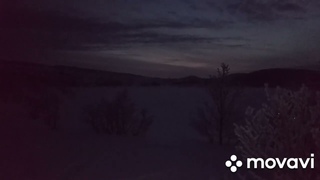 2 февраля 2022 г.