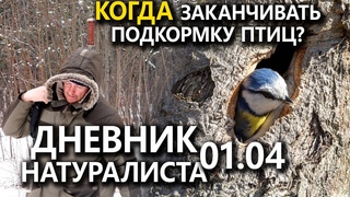 Когда заканчивать подкормку? Дневник натуралиста.