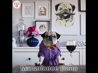 А-Сомелье - Малиновое вино (feat Phil Ust)